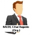 BALDI, Csar Augusto (Org.)